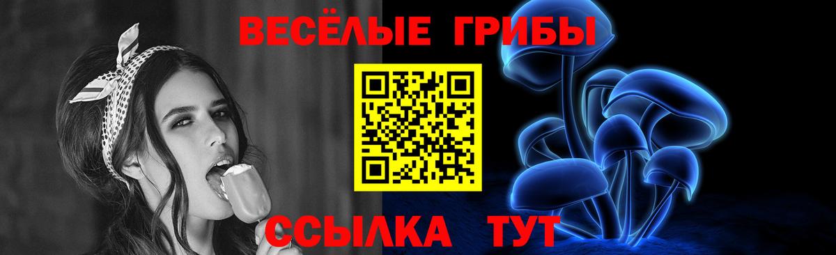 Псилоцибиновые грибы MAGIC MUSHROOMS Апрелевка